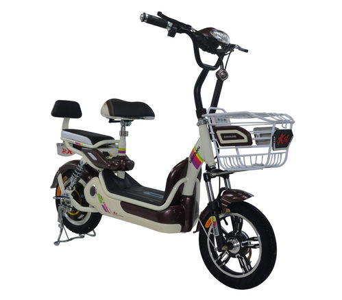 星火升级版价格及图片 专卖店 参数 评论 全球电动车网