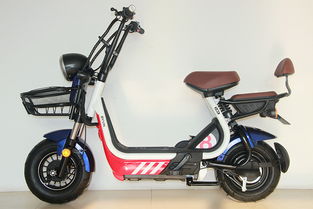 绿色出行新篇章 2019南京第三十七届国际电动车展览会聚焦电动自行车