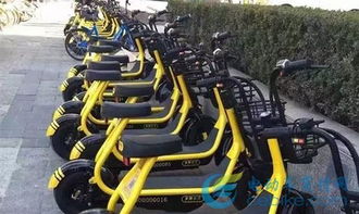 致敬国庆70周年丨大国交通之电动自行车 城市脉搏中的绿色音符